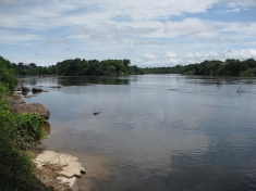 Densely forested islands in the Xingú River would be affected by the Belo Monte Dam.