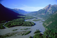 The proposed dam will flood pristine wildlands in the Susitna River watershed.