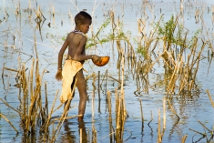 A Karo boy collects water from   Omo River floodplain in Ethiopia.
