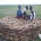 Fishermen and their dried catch, Lake Turkana